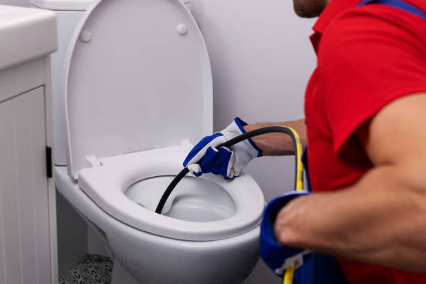 Best Plumbing Services Near Me  in Weidman, MI